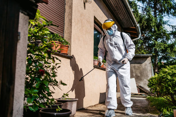Best Wasp Removal Services  in Nicholson, MS